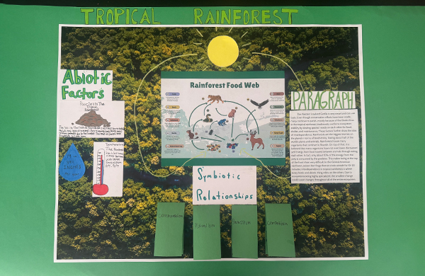 Ecology Around the World